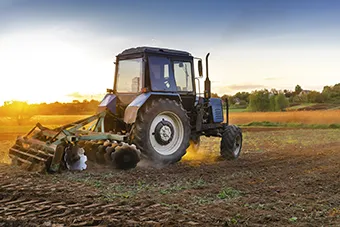 Magister Cites asesorando en sector Agrícola